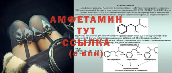 дмт Инсар