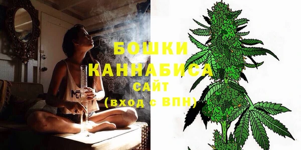 дмт Инсар