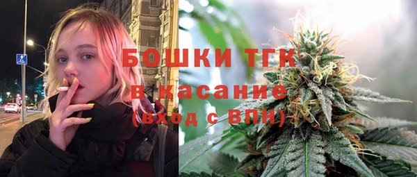 дмт Инсар