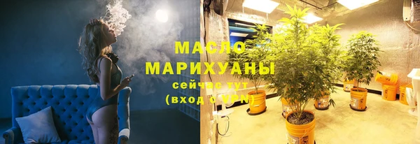 дмт Инсар