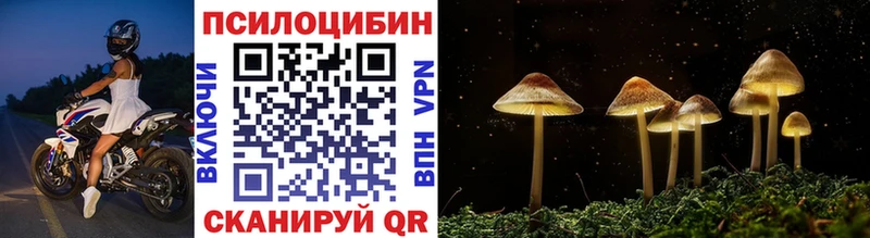 Купить  Вельск  Галлюциногенные грибы мицелий 